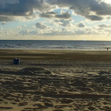 Honderdelf * Bergen aan Zee